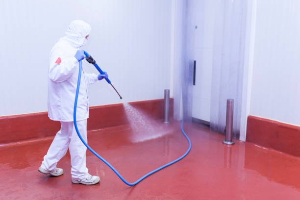 Best Solar Panel Cleaning  in Callaway, FL